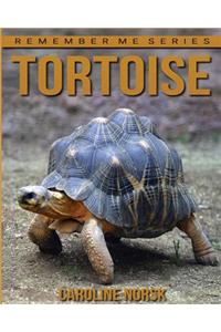 Tortoise