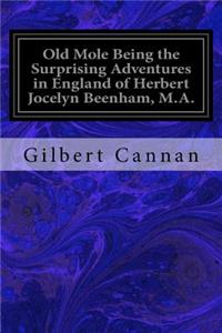 Old Mole Being the Surprising Adventures in England of Herbert Jocelyn Beenham, M.A.