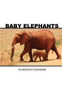 Baby Elephants Calendar 2017
