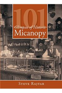 101 Glimpses of Historic Micanopy