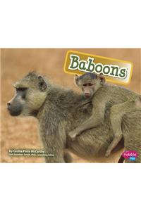 Baboons