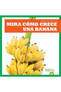 Mira Cómo Crece Una Banana (Watch a Banana Grow)