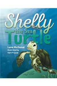 Shelly the Sea Turtle