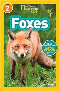 Foxes (Nat Geo)