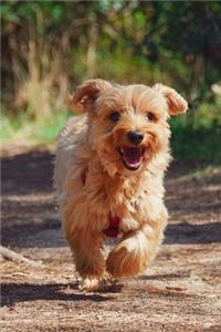 Cute Brown Puppy Journal