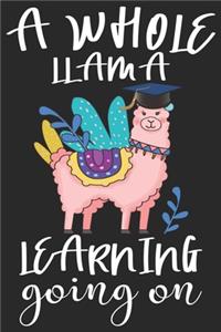 A whole llama learning going on