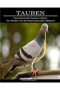 Tauben