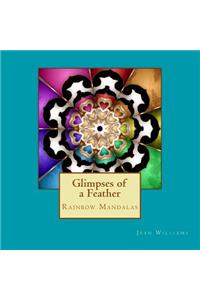 Glimpses of a Feather - Rainbow Mandalas