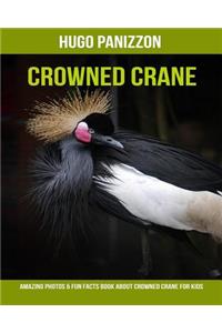Crowned Crane
