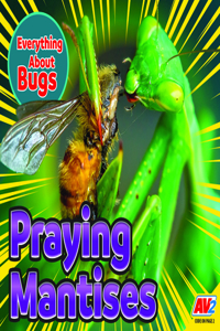 Praying Mantises