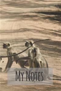 My Notes