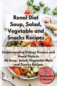 Renal Diet Soup, Salad, Vegetable Main and Snacks Recipes