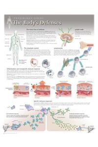 Body's Defences Wall Chart