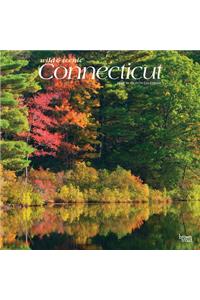 Connecticut Wild & Scenic 2020 Square