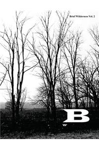 Brief Wilderness