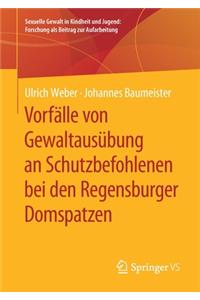 Vorfälle Von Gewaltausübung an Schutzbefohlenen Bei Den Regensburger Domspatzen