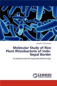 Molecular Study of Rice Plant Rhizobacteria of Indo-Nepal Border