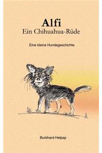 Alfi, ein Chihuahuarüde