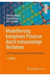 Modellierung Komplexer Prozesse Durch Naturanaloge Verfahren