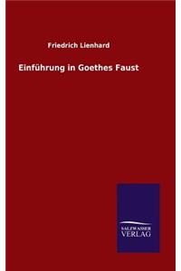 Einführung in Goethes Faust
