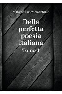 Della Perfetta Poesia Italiana Tomo 1