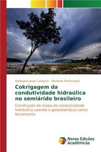 Cokrigagem da condutividade hidraúlica no semiárido brasileiro