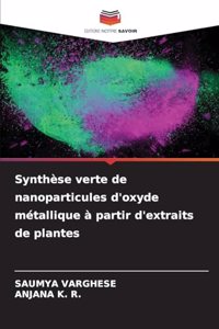 Synthèse verte de nanoparticules d'oxyde métallique à partir d'extraits de plantes