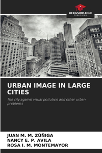 Urban Image in Large Cities