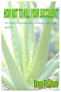 How Not to Kill Your Succulent