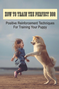 How To Train The Perfect Dog