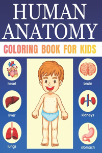 Human Anatomy Coloring Book For Kids