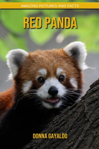 Red panda