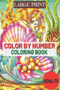 Large Print Color By Number Coloring Book Adults