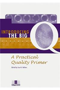 Introducing the Big Q: A Practical Quality Primer