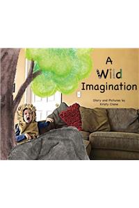 A Wild Imagination