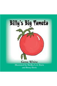 Billy's Big Tomato