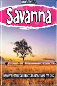 Savanna