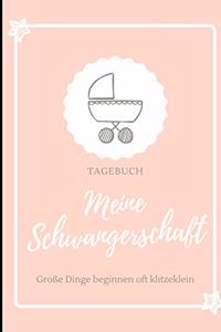 Meine Schwangerschaft Große Dinge Beginnen Oft Klitzeklein Tagebuch