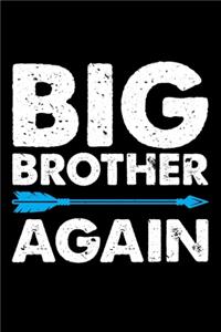 Big Brother Again