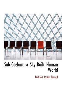 Sub-Coelum: A Sky-Built Human World