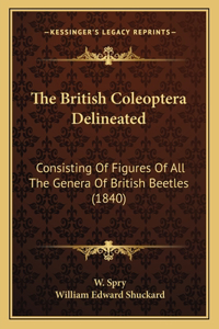 The British Coleoptera Delineated