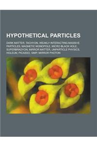 Hypothetical Particles