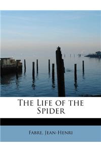 The Life of the Spider