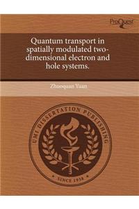 Quantum Transport in Spatially Modulated Two-Dimensional Electron and Hole Systems