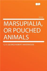 Marsupialia, or Pouched Animals