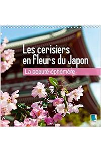 La Beaute Ephemere - Les Cerisiers en Fleurs du Japon 2017
