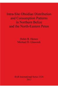 Intra-Site Obsidian Distribution and Consumption Patterns in Northern Belize and the North-Eastern Peten