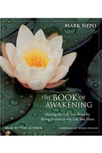 Book of Awakening