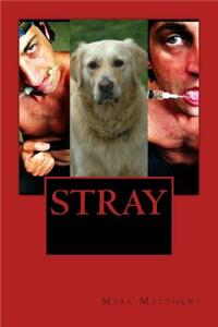 Stray