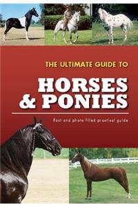 The Ultimate Guide to Horses & Ponies